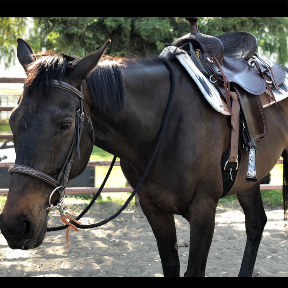 Barrel saddle